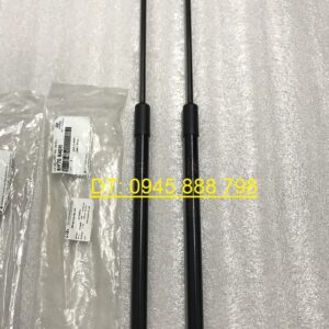 ty chống cửa hậu