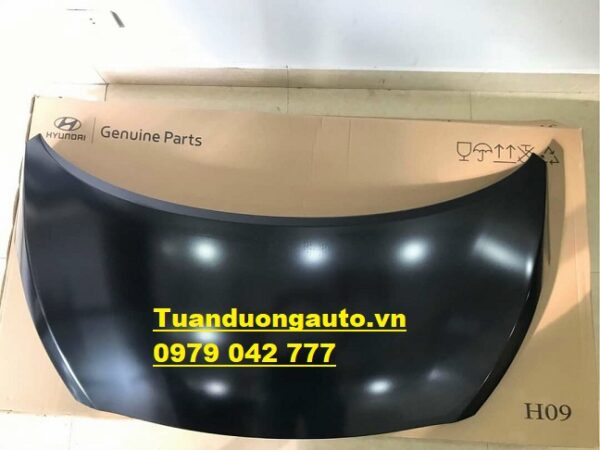 Nắp ca pô trước Hyundai I10