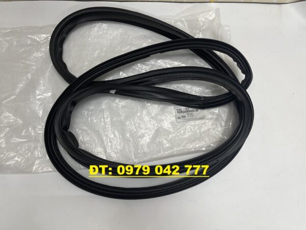 GIOĂNG CỐP KIA CARENS