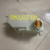 Bình nước phụ xe Santafe gold