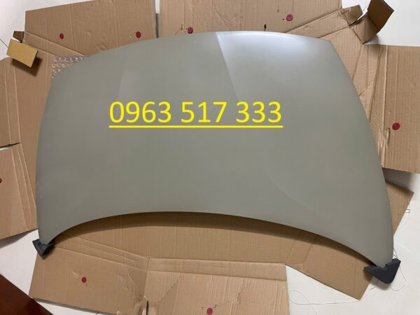 Nắp ca bô kia rio